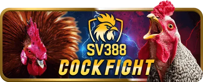 Ưu đãi chào mừng cho thành viên mới k88cc nổ hũ